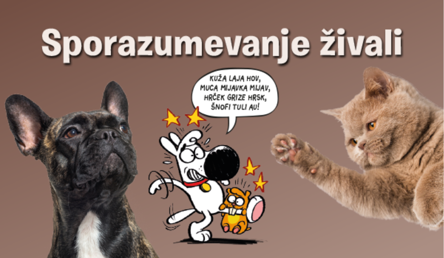 Naslovnica
